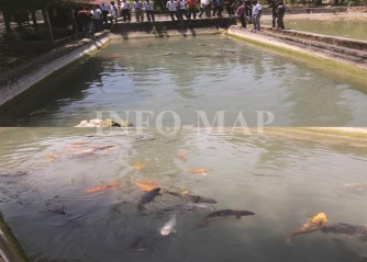 Fotografia/Roger Lopes/INFO-MAP